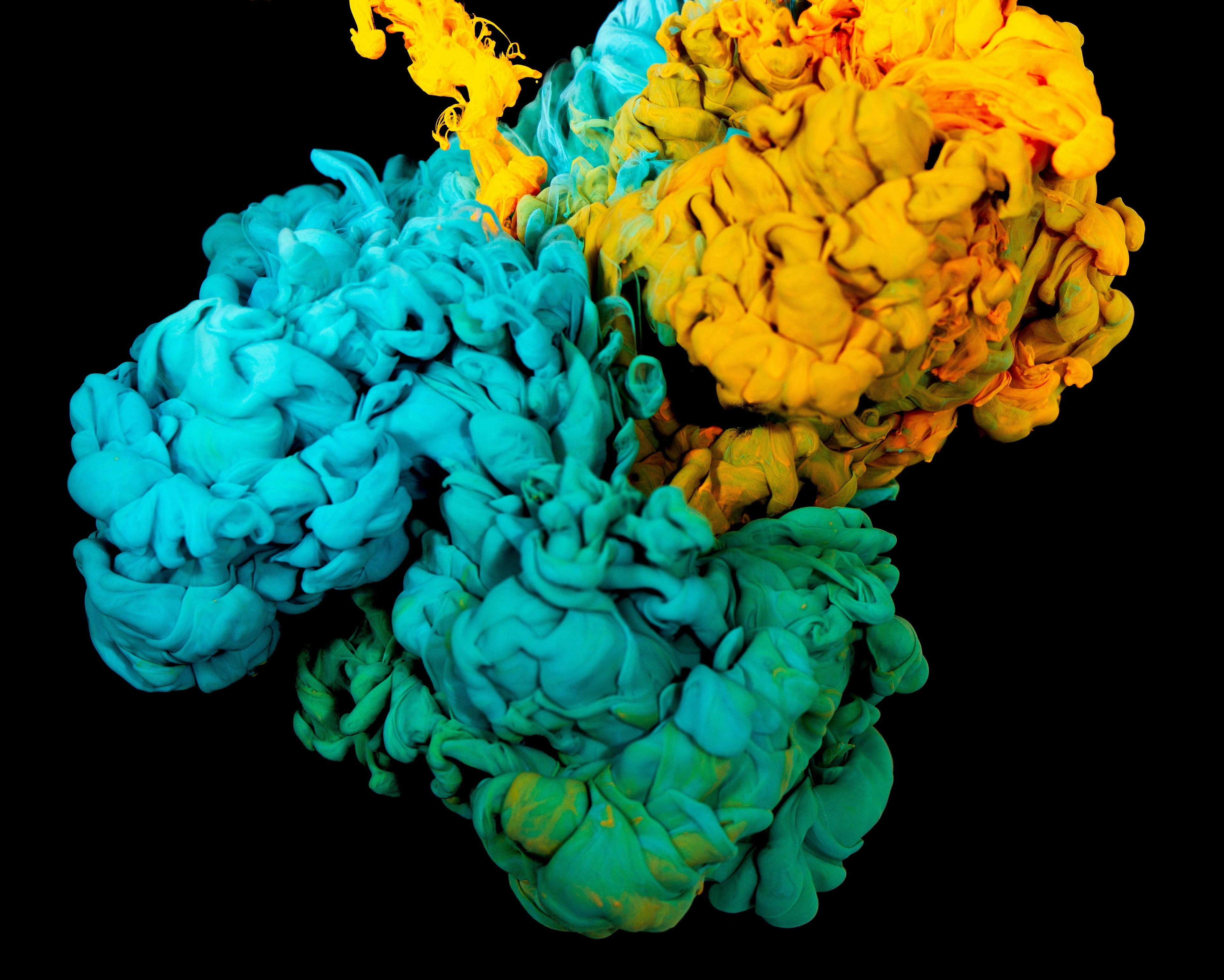 The potential role of supplemental leucine on muscle protein synthesis