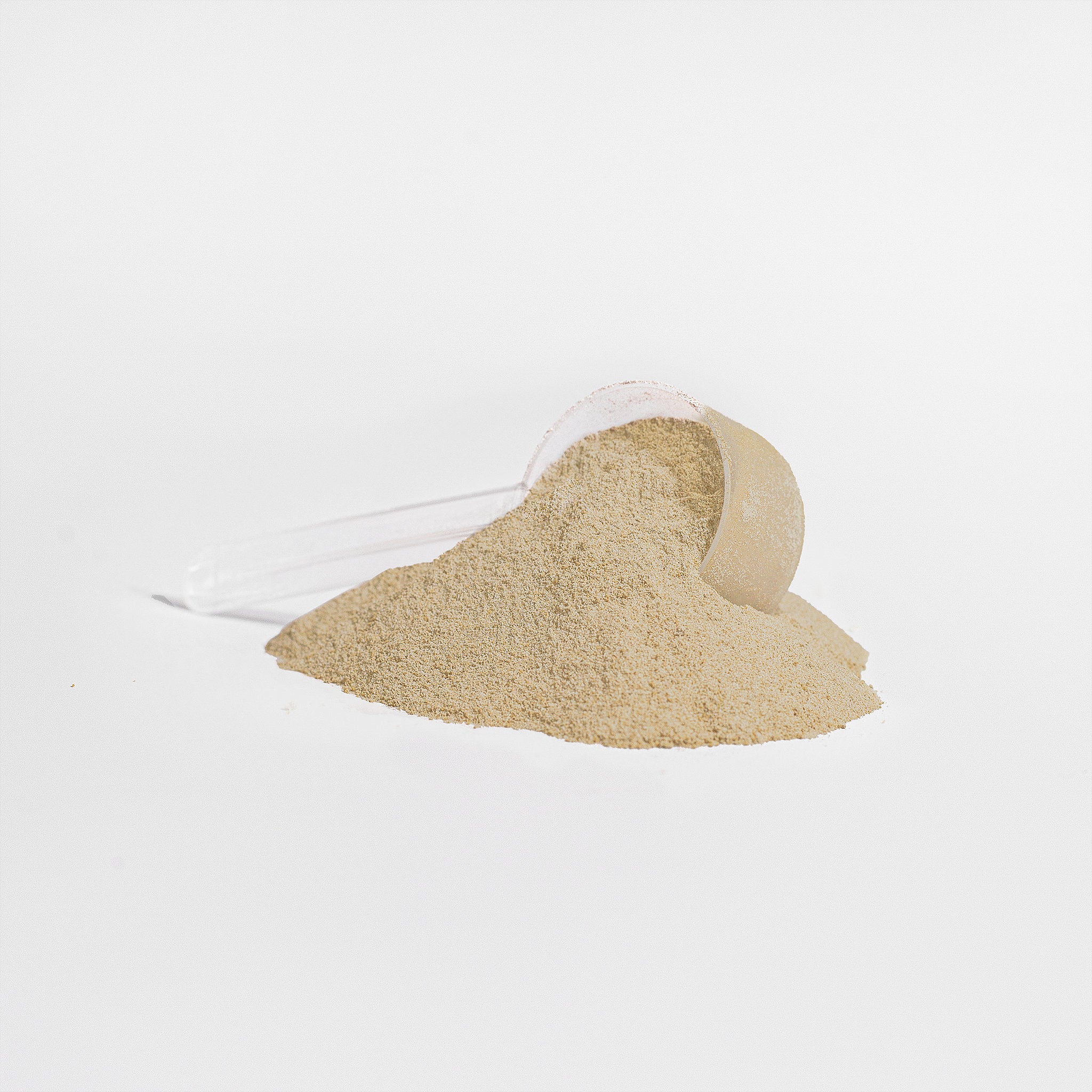 ARCHETYPE™ Whey Protein Isolate (Vanilla)